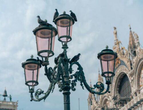 Venice: The City of Light