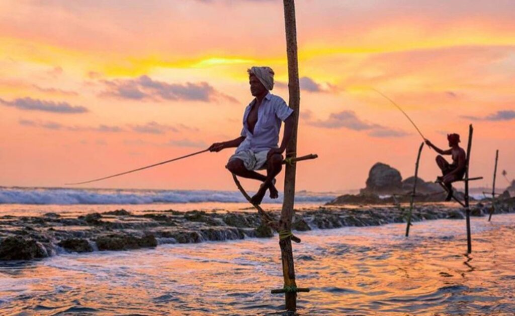 Sri Lanka Stilt Fisherman