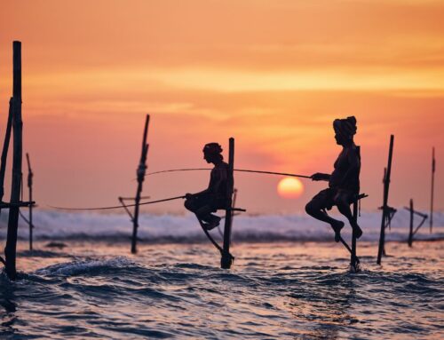 A Balancing Act