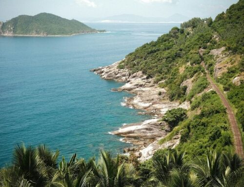 Going Green