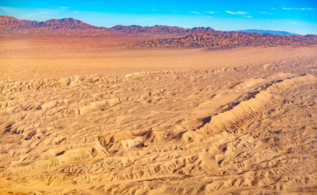 Chile Desierto Florido 2